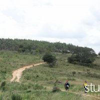 studio s 437